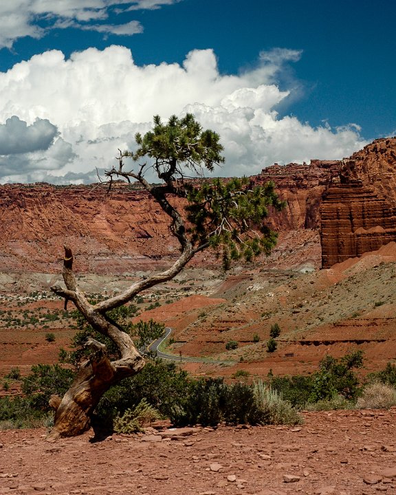 Capitol Reef National Park - click to continue