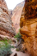 Zion National Park