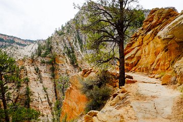 Zion National Park