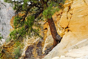 Zion National Park