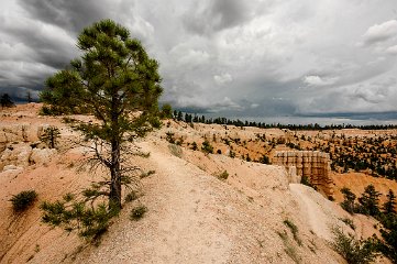 Bryce Canyon National Park