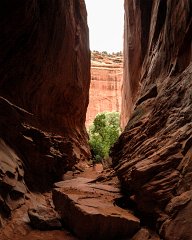 Long Canyon