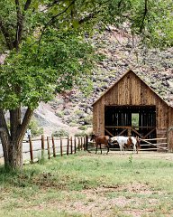 Capitol Reef National Park