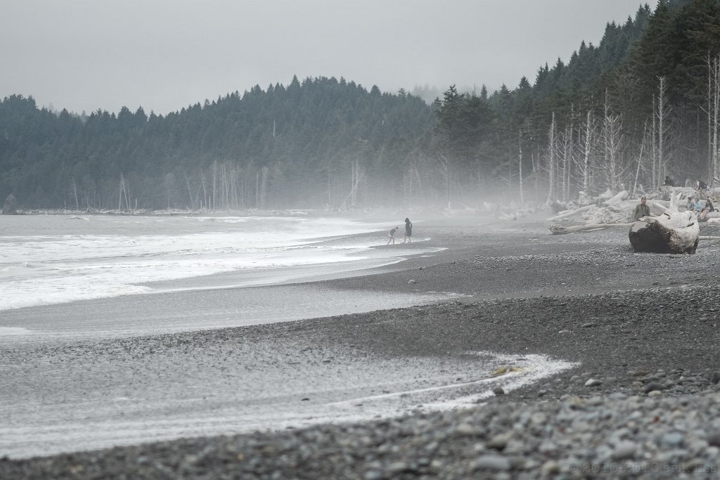 Olympic National Park, Rialto Beach - click to continue