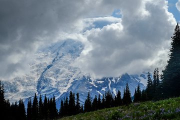 Mt Rainier