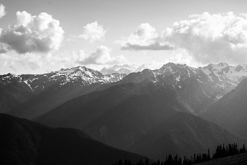 Olympic National Park, Hurricane Ridge