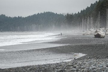 Olympic National Park, Rialto Beach