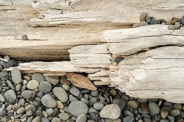 Olympic National Park, Rialto Beach