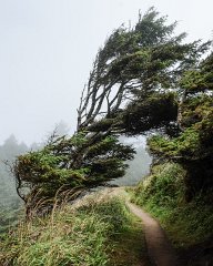 Cape Disappointment State Park