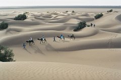 sahara